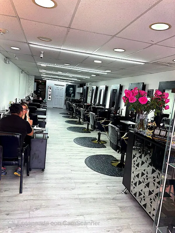 Le Hair Salon — Hairdresser in Miami